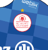Bild von Allianz MTV Stuttgart Heimtrikot 23/24 Herren