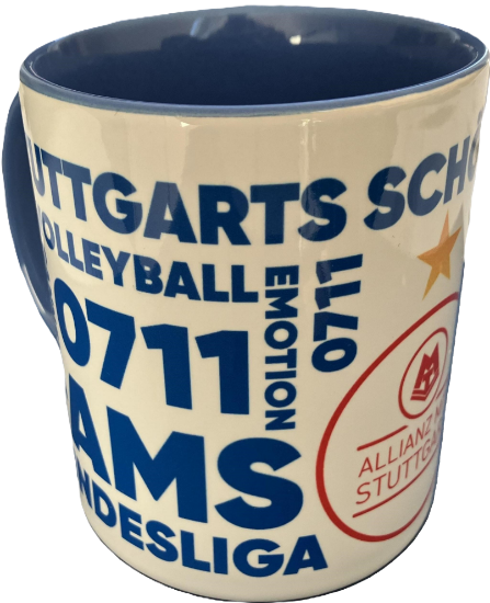 Bild von Fantasse Volleyball Stuttgart blau